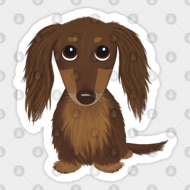 Cute Dog | Longhaired Chocolate Brown Dachshund | Wiener Dog Sticker by Coffee Squirrel